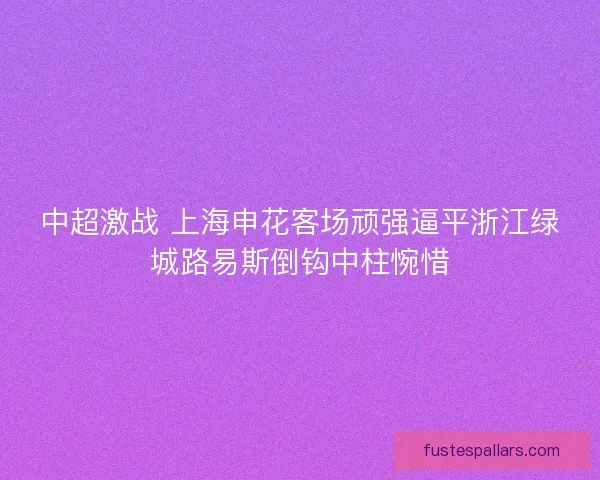 中超激战 上海申花客场顽强逼平浙江绿城路易斯倒钩中柱惋惜